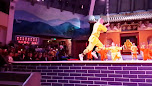 Shaolin Tagou Martial Arts School thumb 6